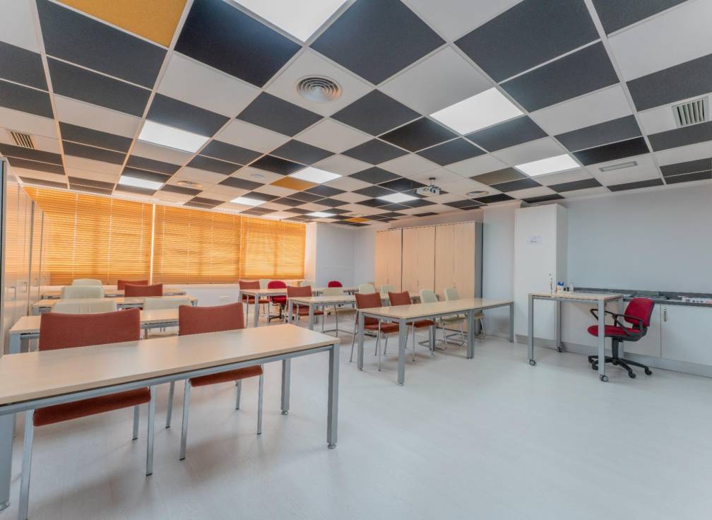 Resale - Business - Elche - Altabix