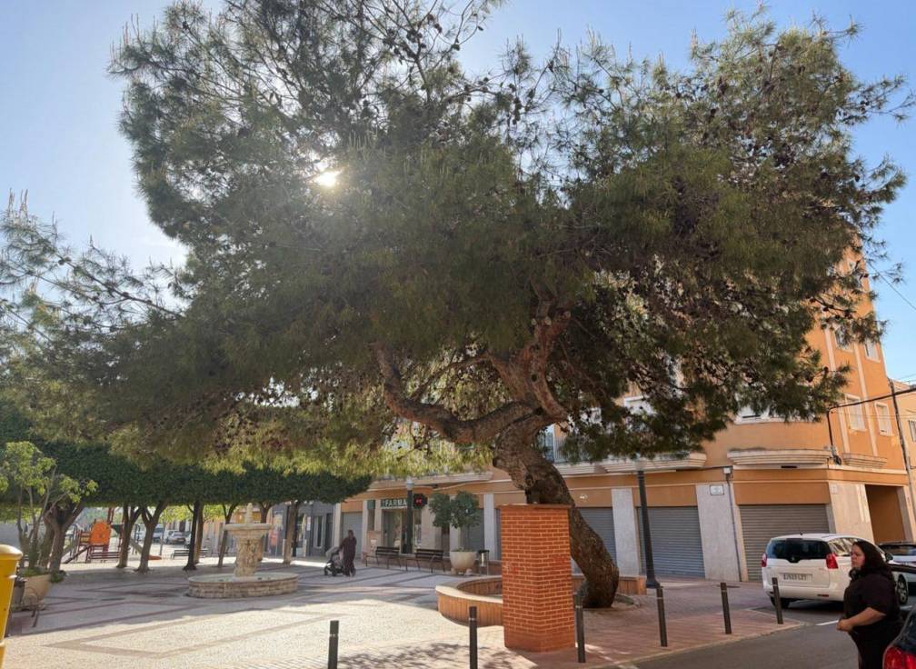 Resale - Business Premises - Las bayas - Las Bayas-Asprillas