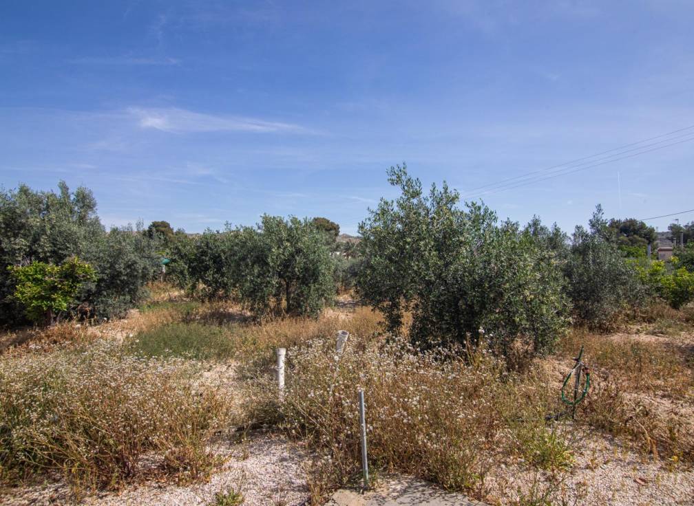 Resale - Country House - Elche - Carrus
