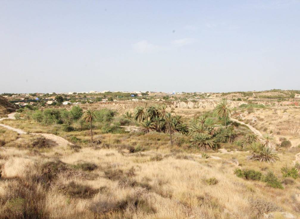 Resale - Country House - Elche - La Galia-Bonavista