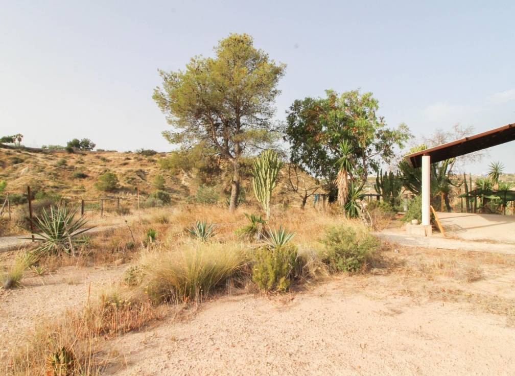 Resale - Country House - Elche - La Galia-Bonavista