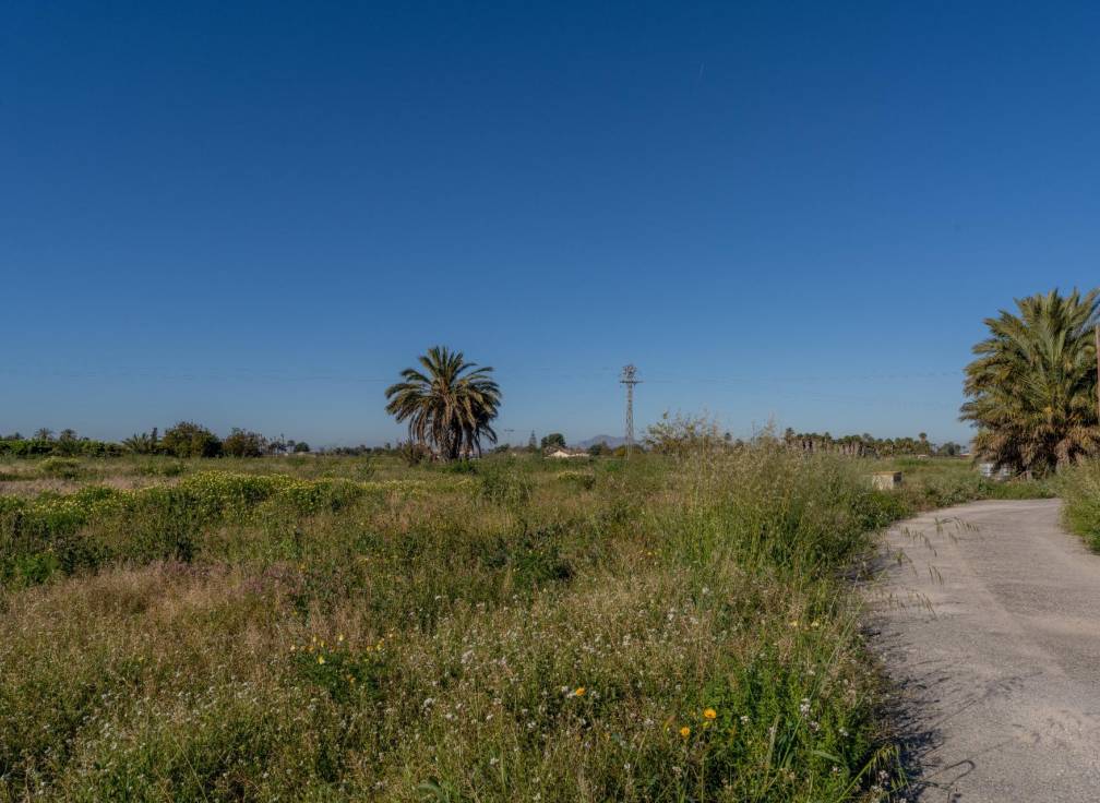 Resale - Country House - Elche Pedanías - Derramador