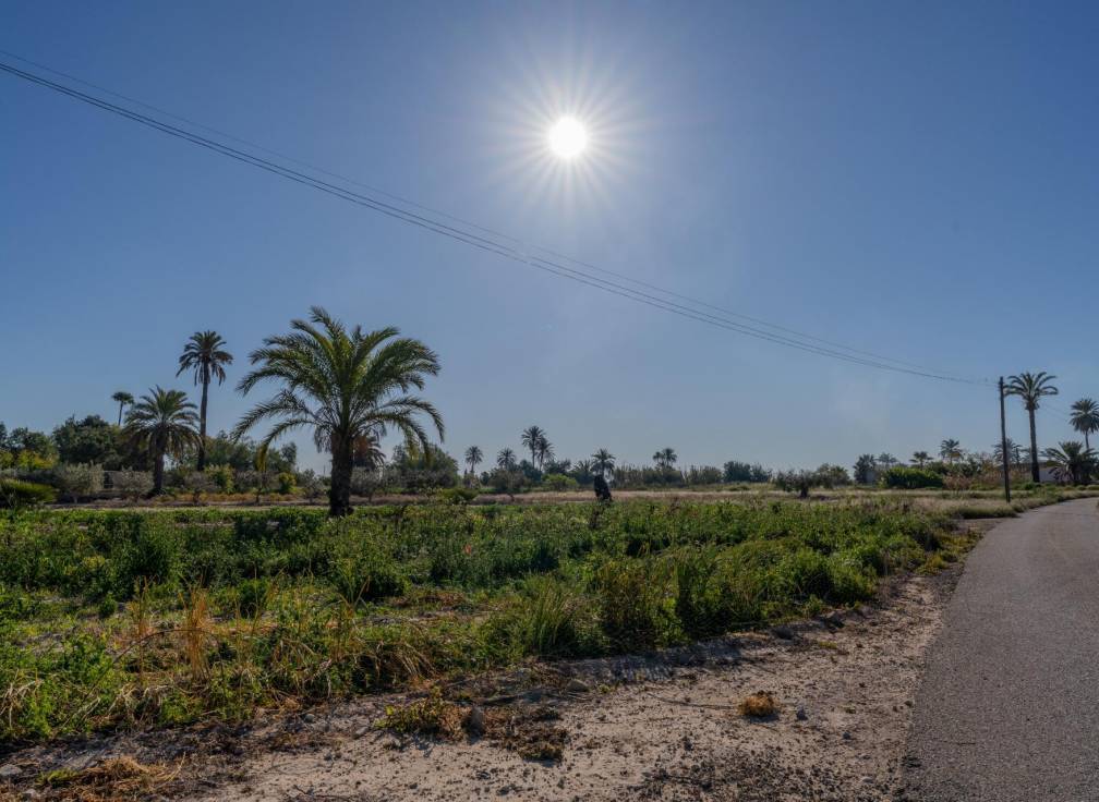 Resale - Country House - Elche Pedanías - Derramador