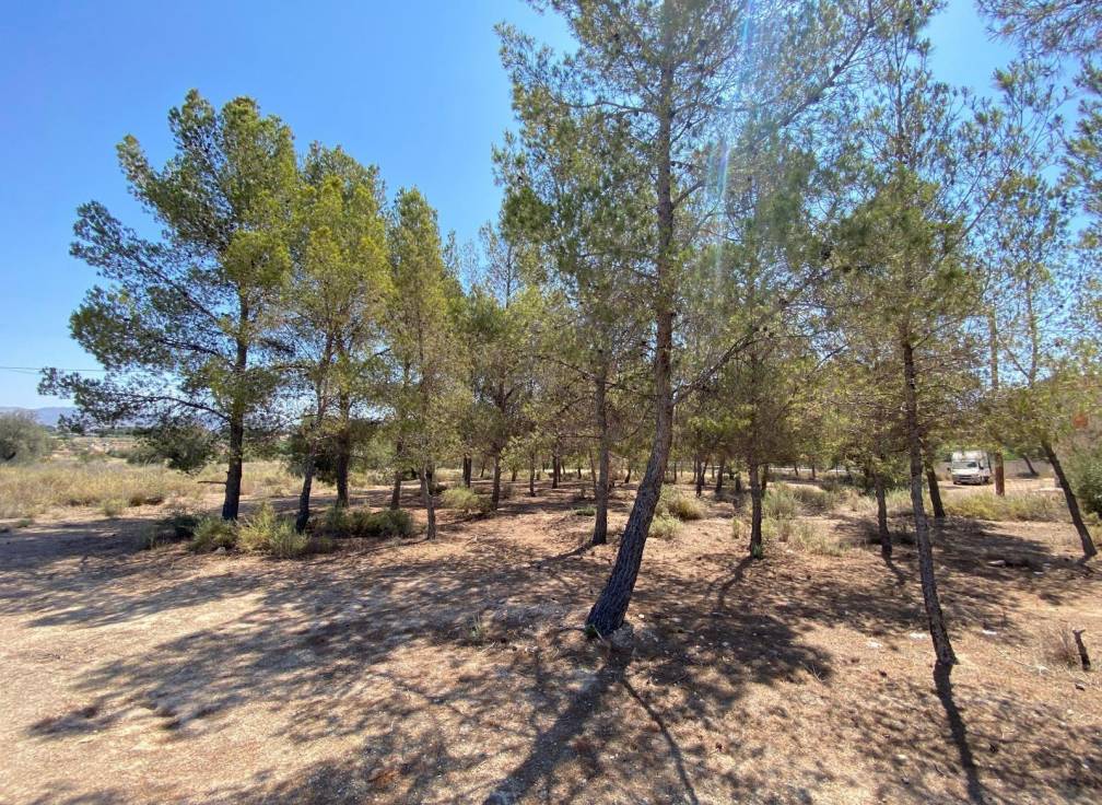 Resale - Country House - Elda - Las Trescientas - San Francisco