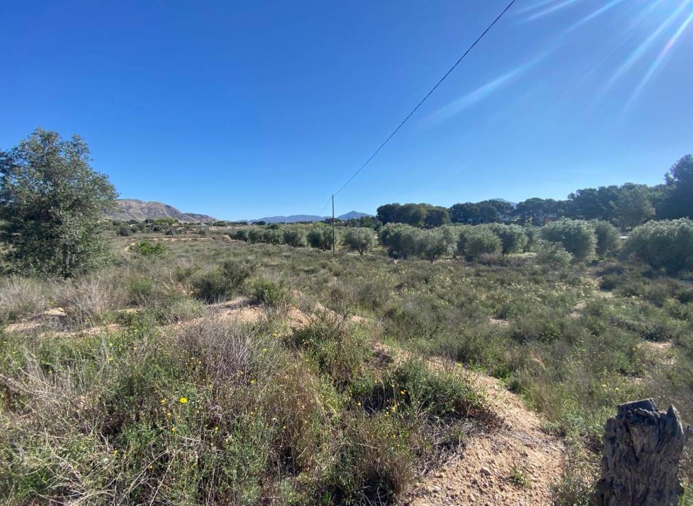 Resale - Country House - Elda - Las Trescientas - San Francisco