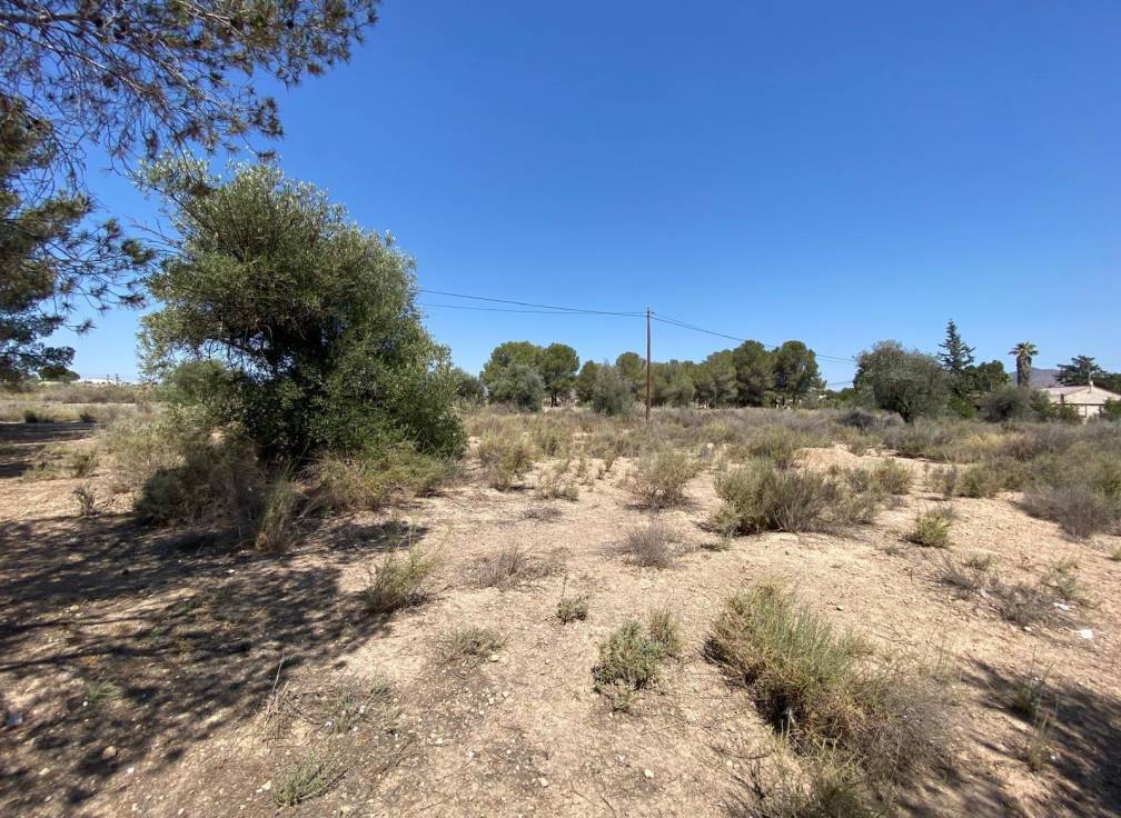 Resale - Country House - Elda - Las Trescientas - San Francisco