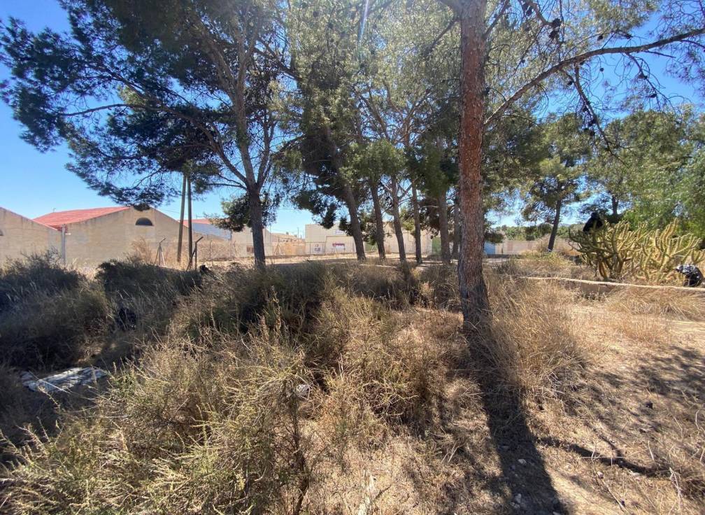 Resale - Country House - Elda - Las Trescientas - San Francisco