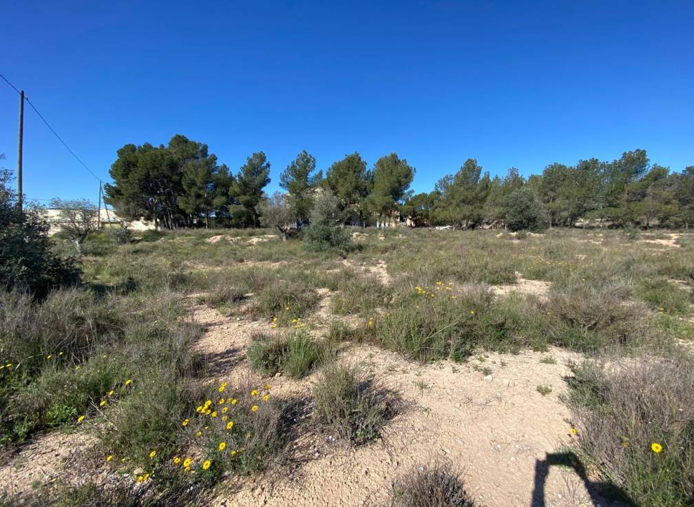 Resale - Country House - Elda - Las Trescientas - San Francisco