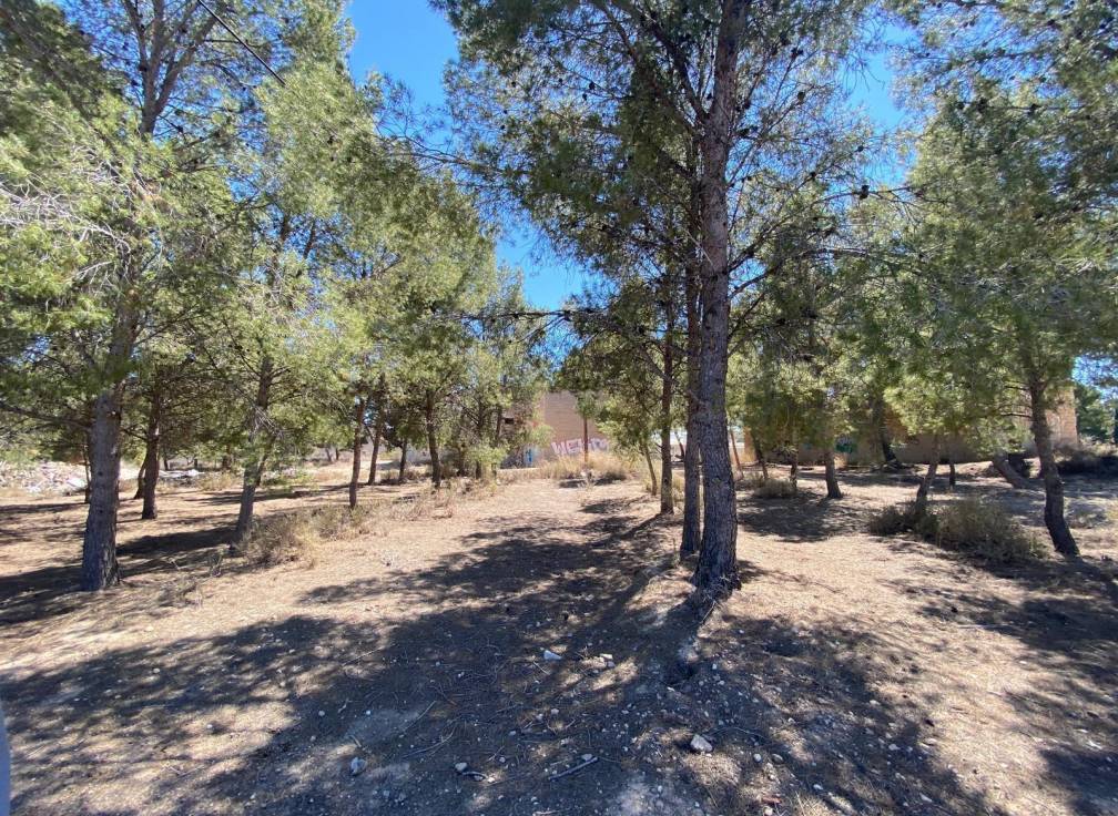 Resale - Country House - Elda - Las Trescientas - San Francisco