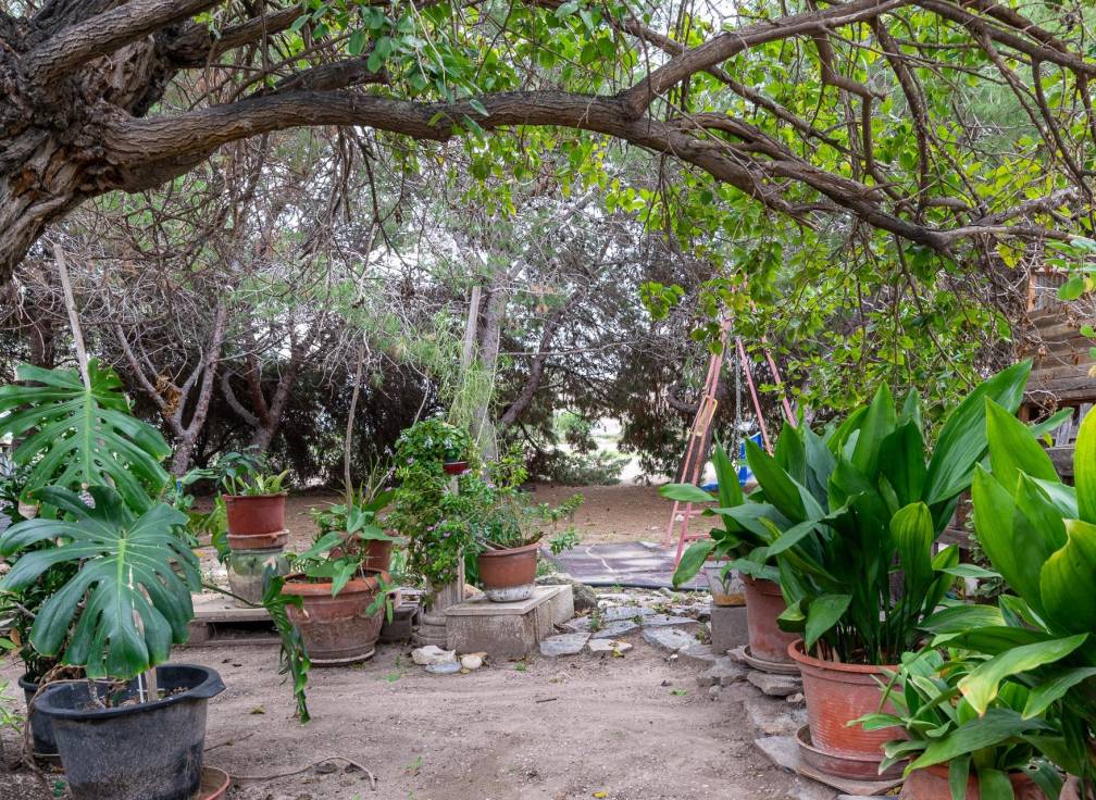 Resale - Country House - La hoya