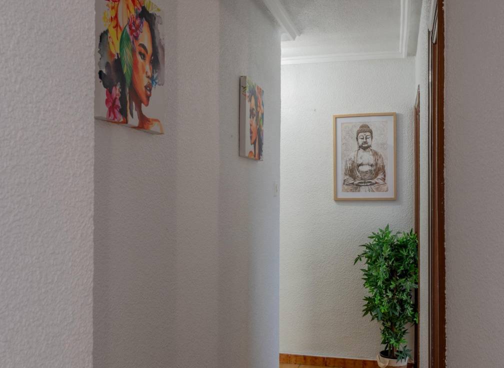 Resale - Flat - Elche - Asilo - Pisos Azules