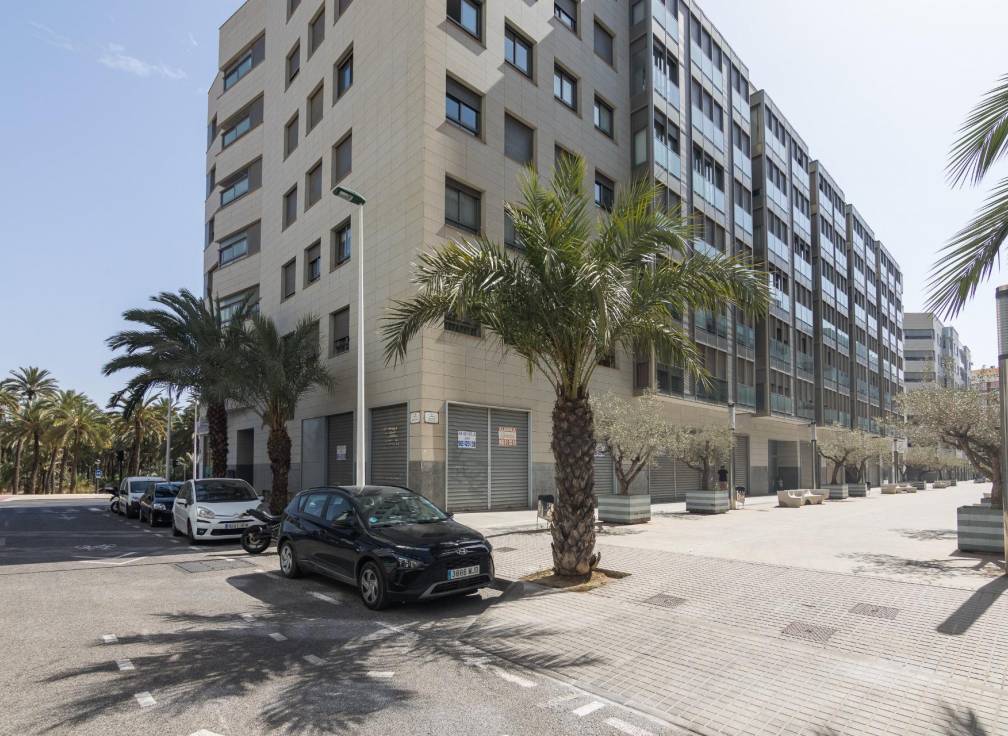 Resale - Flat - Elche - Centro