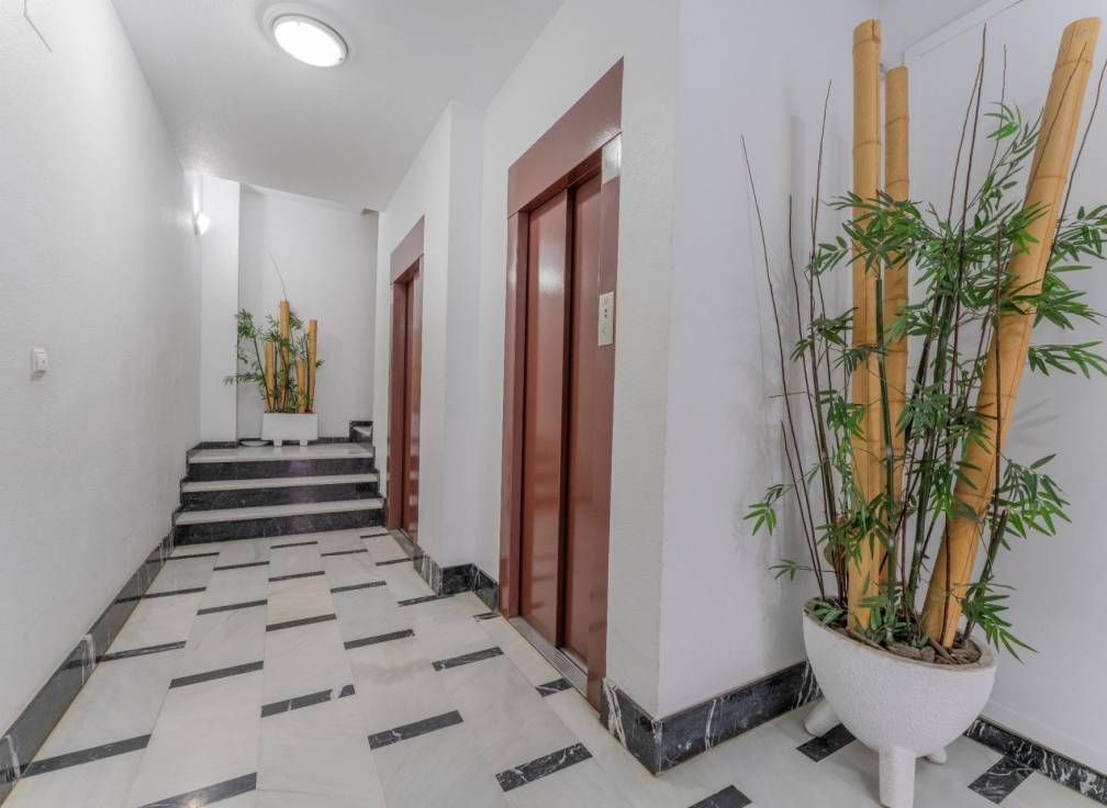Resale - Flat - Elche - Elche / Elx