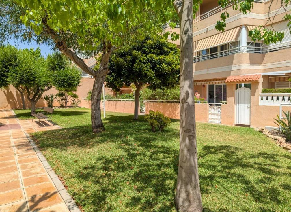 Resale - Flat - Elche - Playa arenales del sol