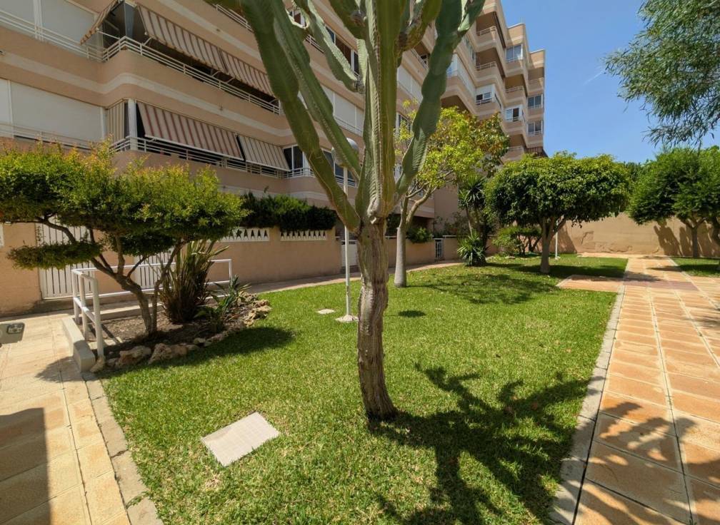 Resale - Flat - Elche - Playa arenales del sol