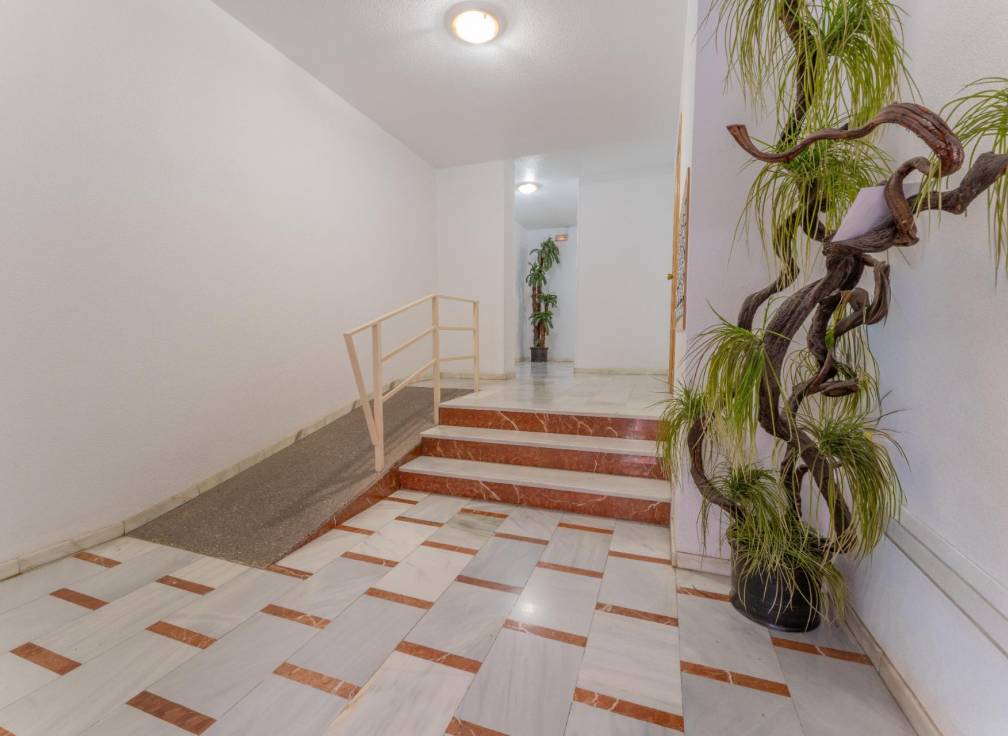 Resale - Flat - Elche - Plaza Crevillente-Juzgados