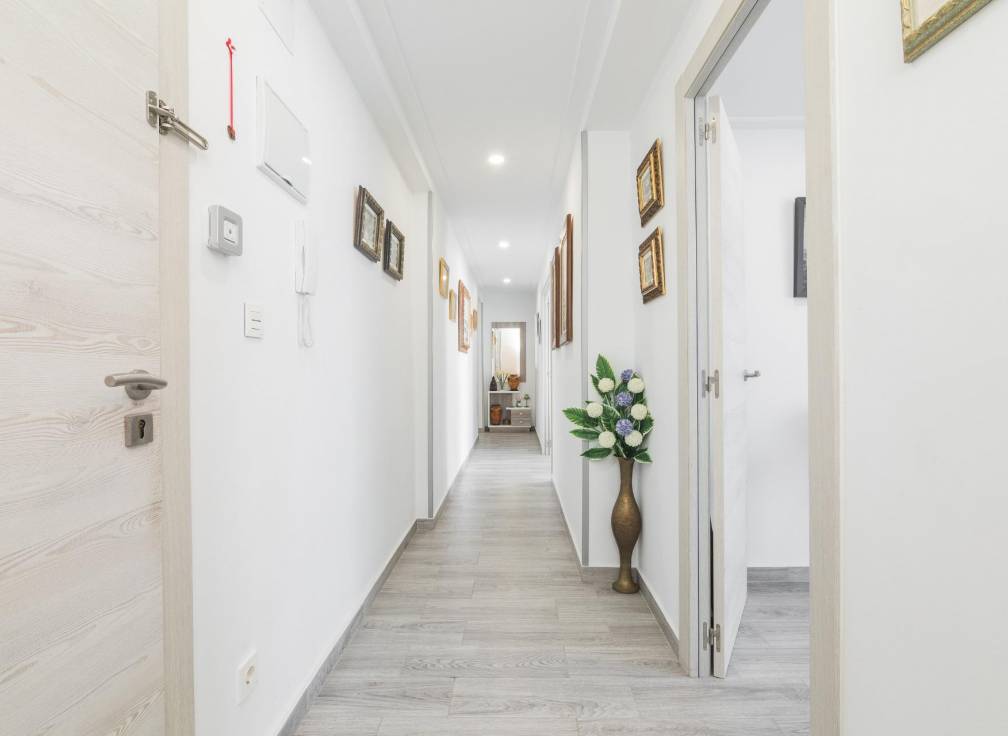 Resale - Flat - Elche - Reina Victoria-Miguel Hernández