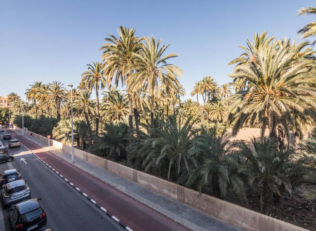 Resale - Flat - Elche - Torreta - Portalada