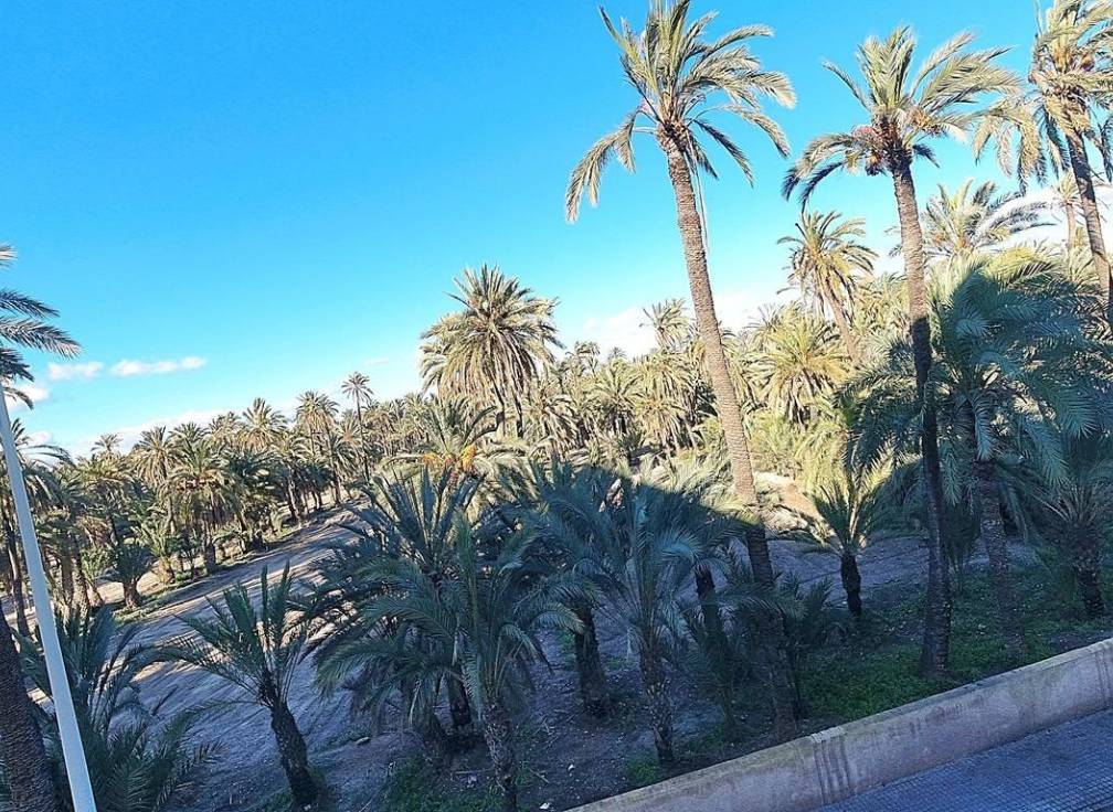 Resale - Flat - Elche - Torreta - Portalada