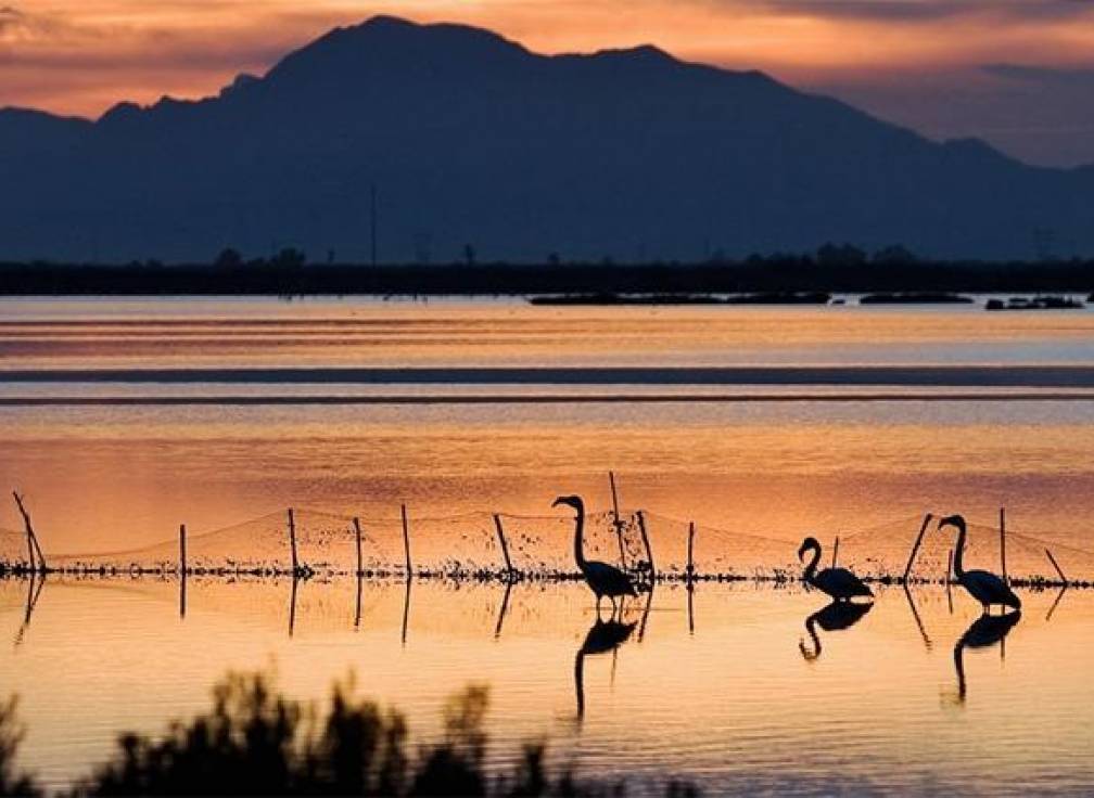 Resale - Flat - Santa Pola - Centro