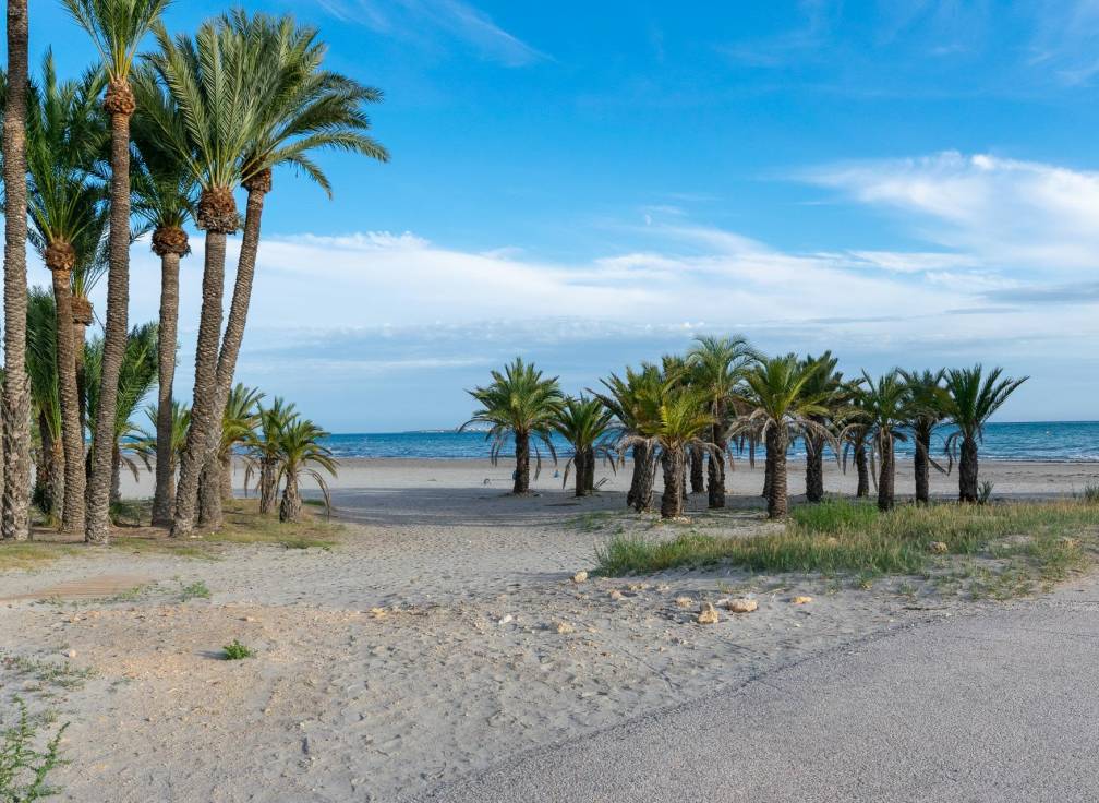 Resale - Flat - Santa Pola - Varadero