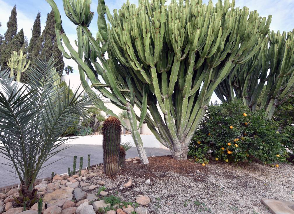 Resale - House - Elche - La Galia-Bonavista