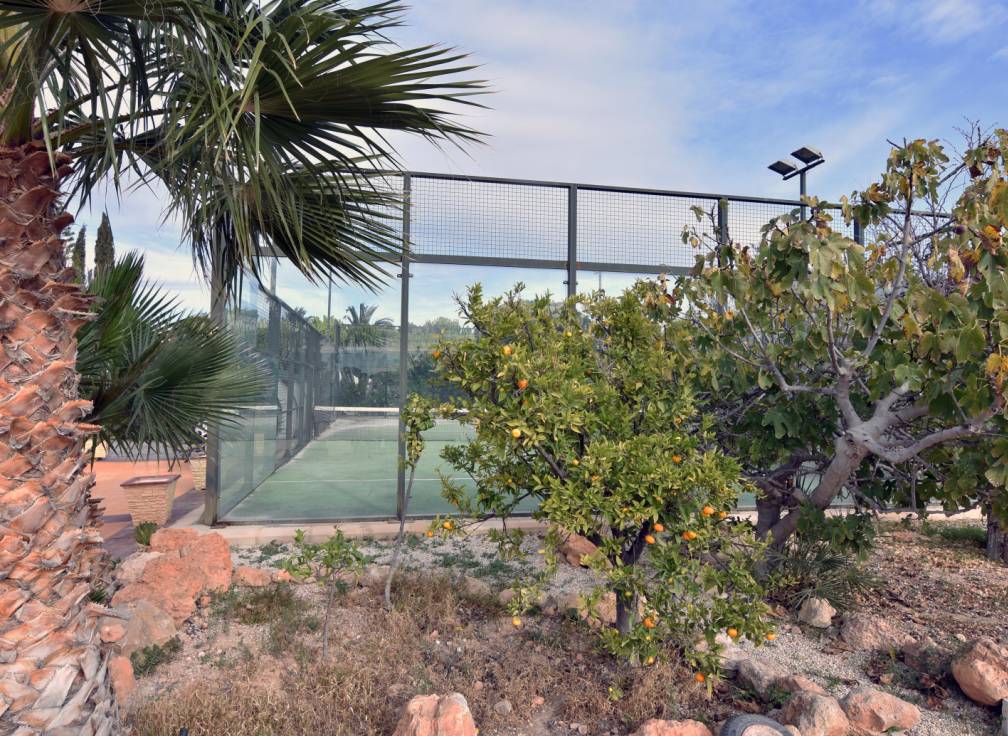 Resale - House - Elche - La Galia-Bonavista