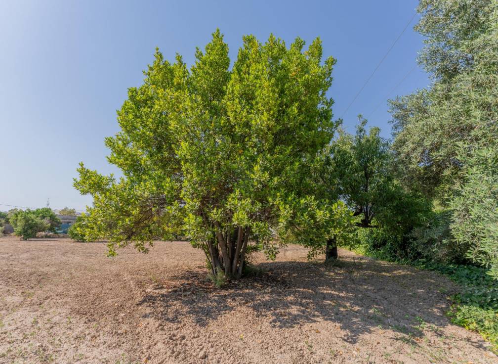 Resale - House - Matola - Algoda-Matola-Llano de San José