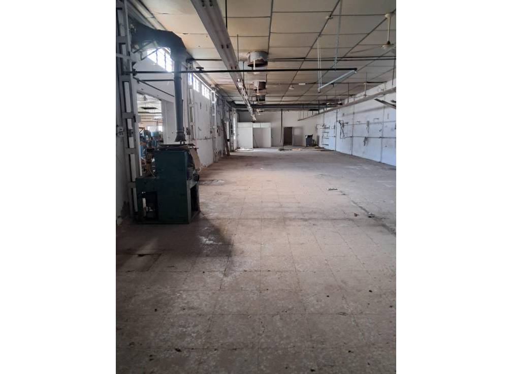 Resale - Industrial Unit - Elche Pedanías - Algoros