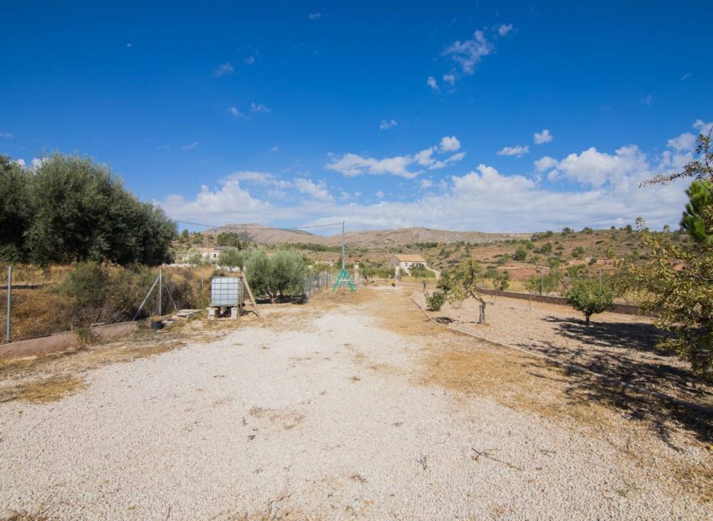 Resale -  - La Romana - BOQUERA