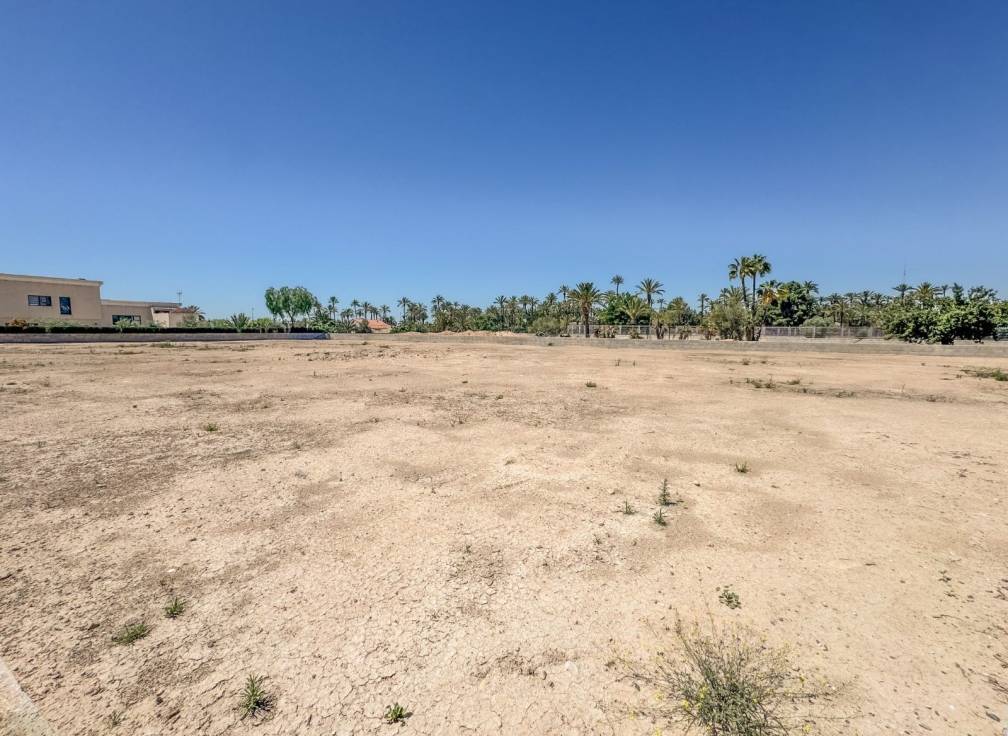 Resale - Plot - Elche Pedanías - Alzabares