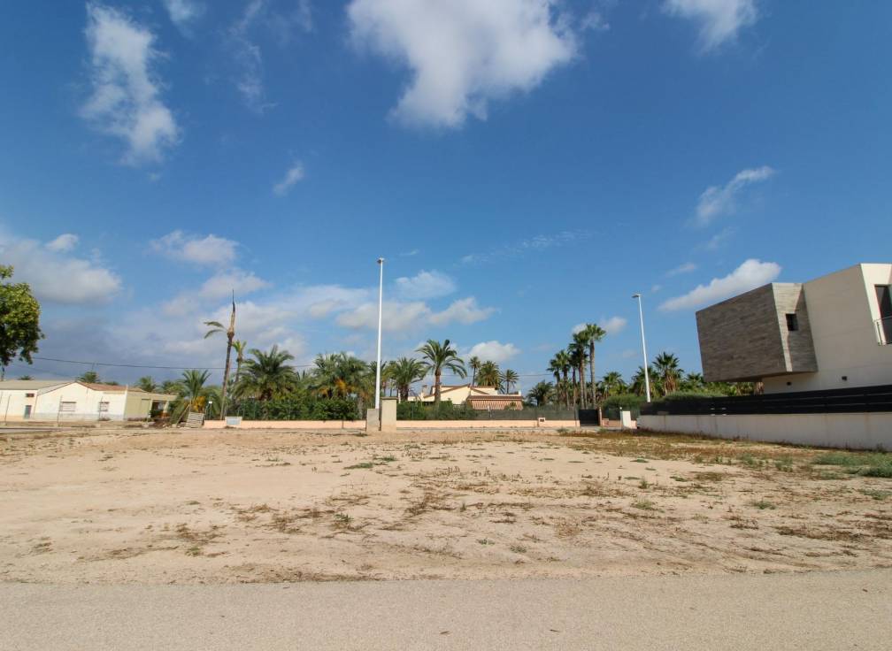 Resale - Plot - Elche Pedanías - La Hoya