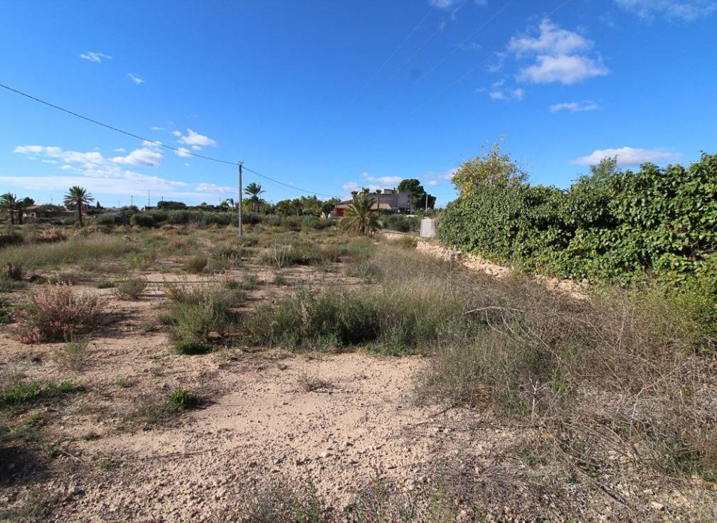 Resale - Plot - Elche Pedanías - Peña las Águilas