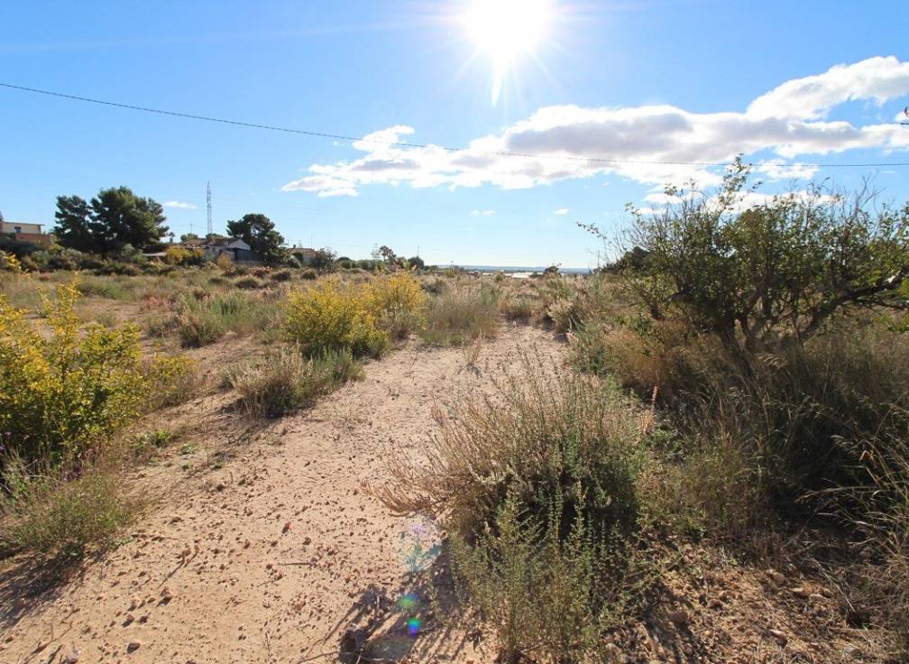 Resale - Plot - Elche Pedanías - Peña las Águilas