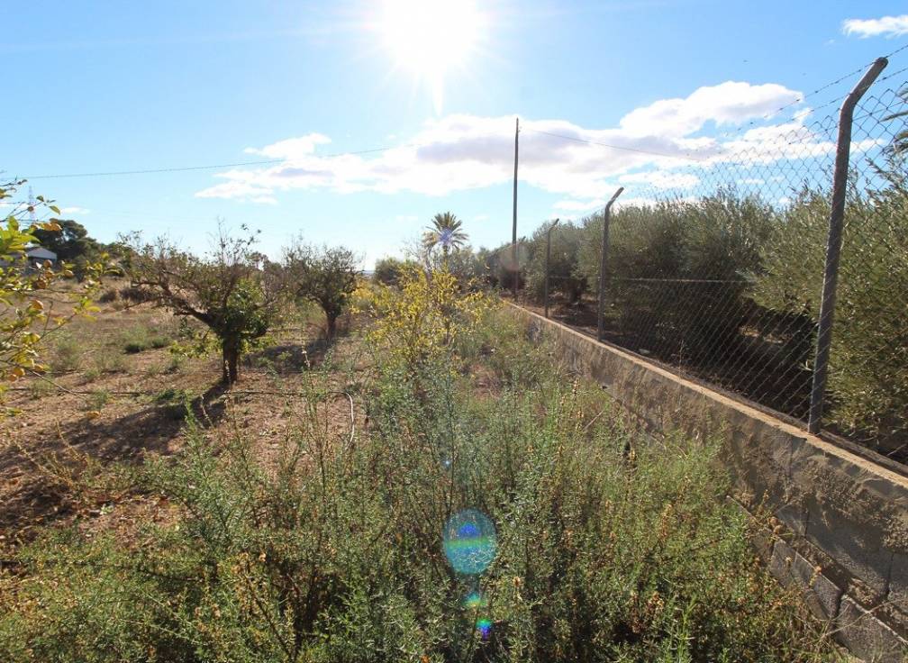 Resale - Plot - Elche Pedanías - Peña las Águilas