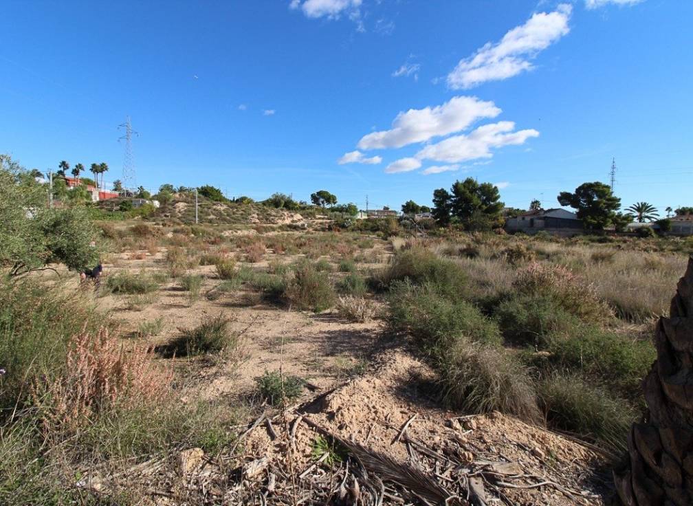 Resale - Plot - Elche Pedanías - Peña las Águilas
