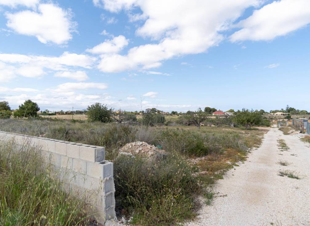 Resale - Plot - Elche Pedanías - Perleta