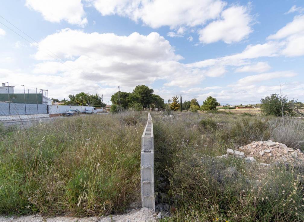 Resale - Plot - Elche Pedanías - Perleta