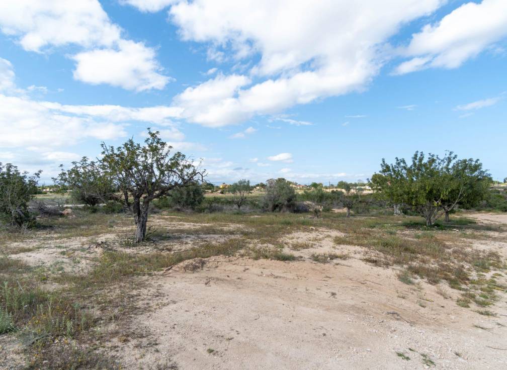 Resale - Plot - Elche Pedanías - Perleta