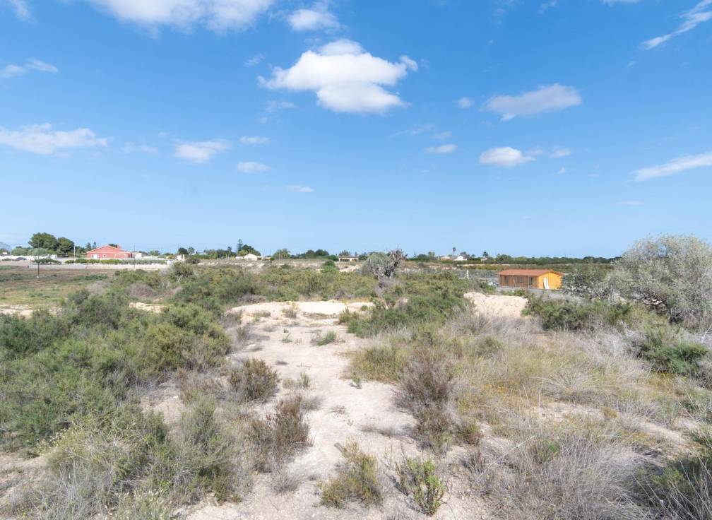 Resale - Plot - Elche Pedanías - Perleta