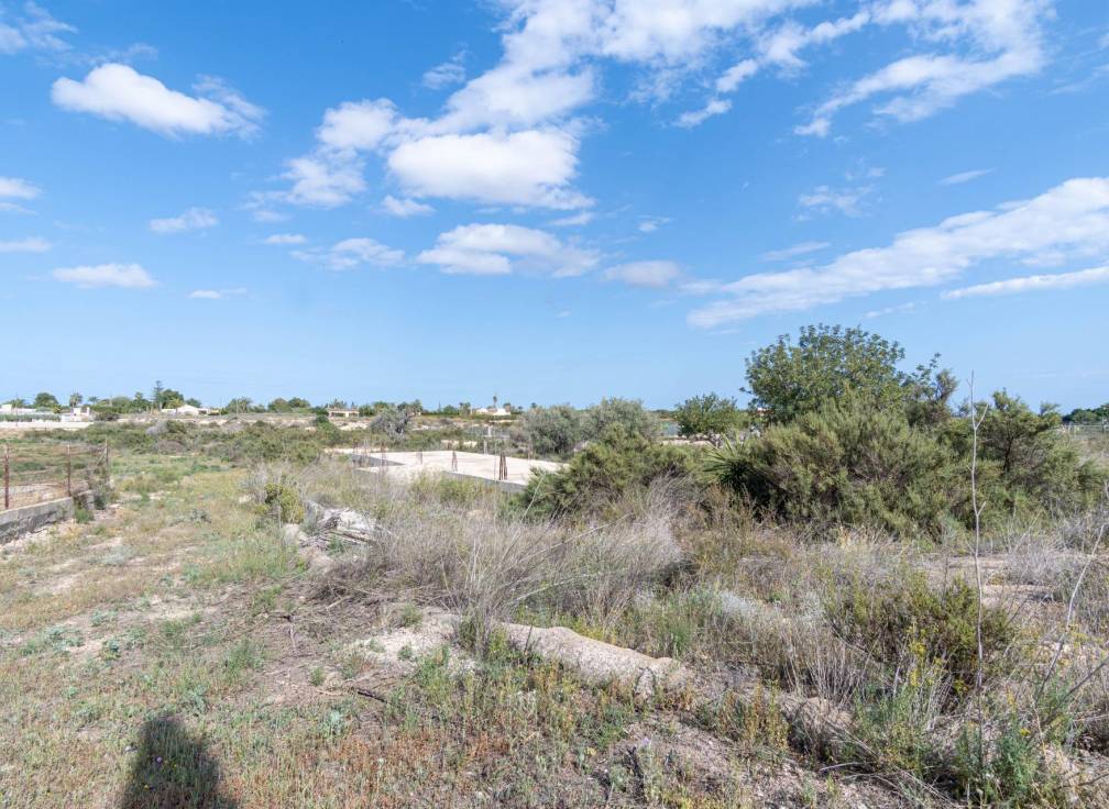 Resale - Plot - Elche Pedanías - Perleta