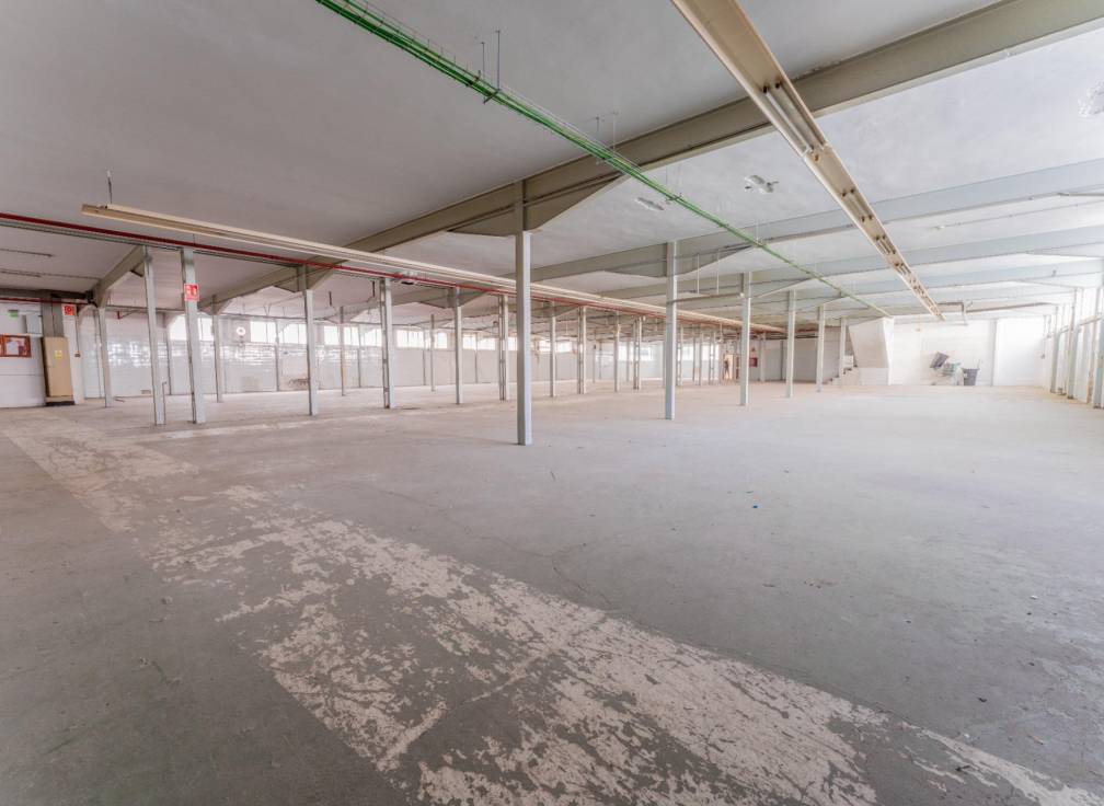 Resale - Plot - Elche - Toscar