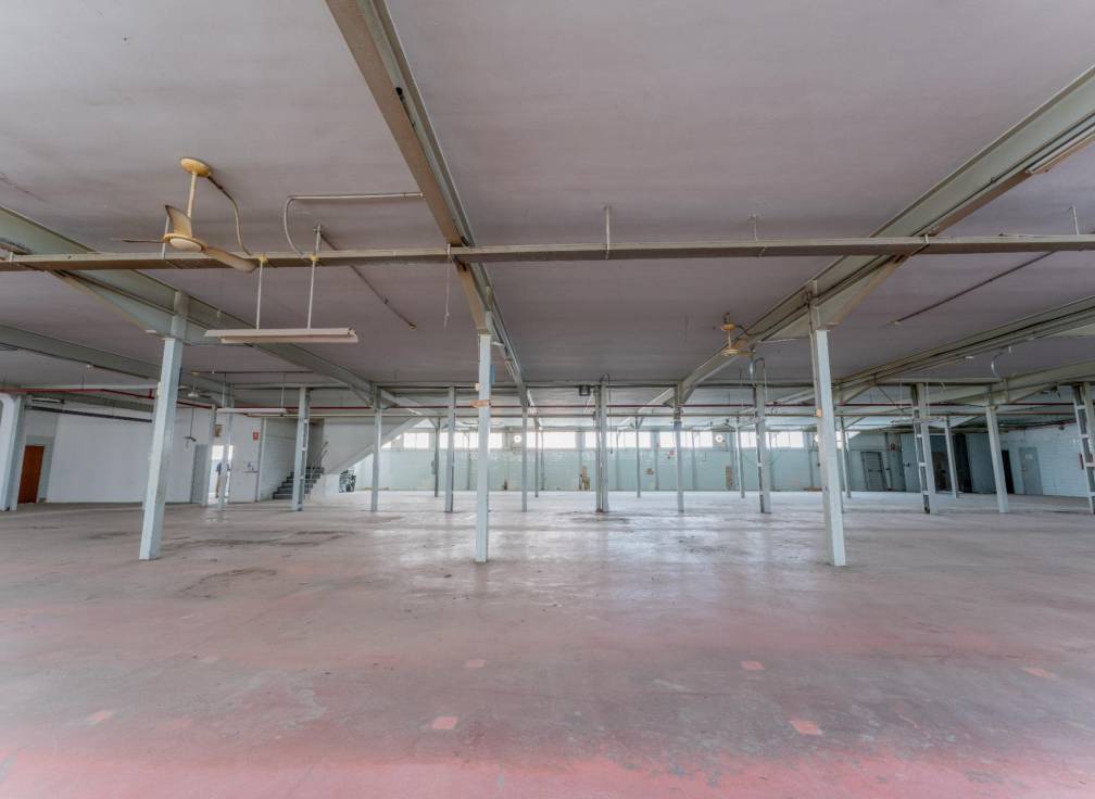 Resale - Plot - Elche - Toscar