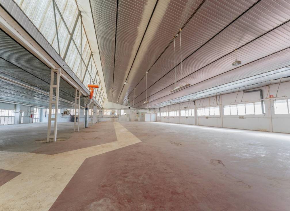 Resale - Plot - Elche - Toscar