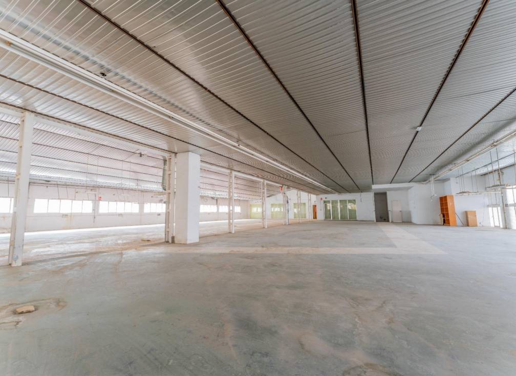 Resale - Plot - Elche - Toscar