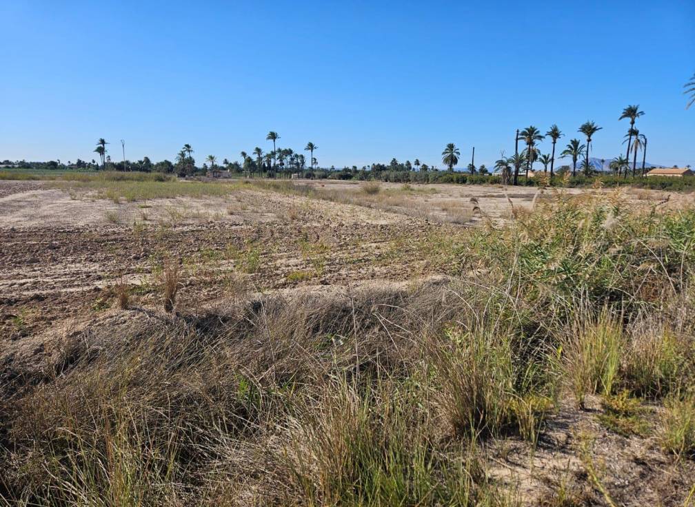 Resale - Plot - La hoya - La Hoya-Daimes-El Derramador