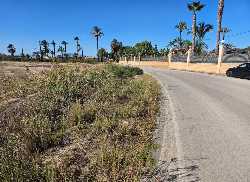 Resale - Plot - La hoya - La Hoya-Daimes-El Derramador