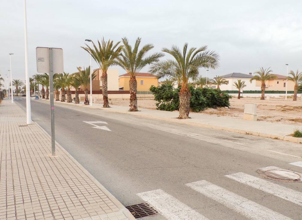 Resale - Plot - La hoya - La Hoya-Daimes-El Derramador