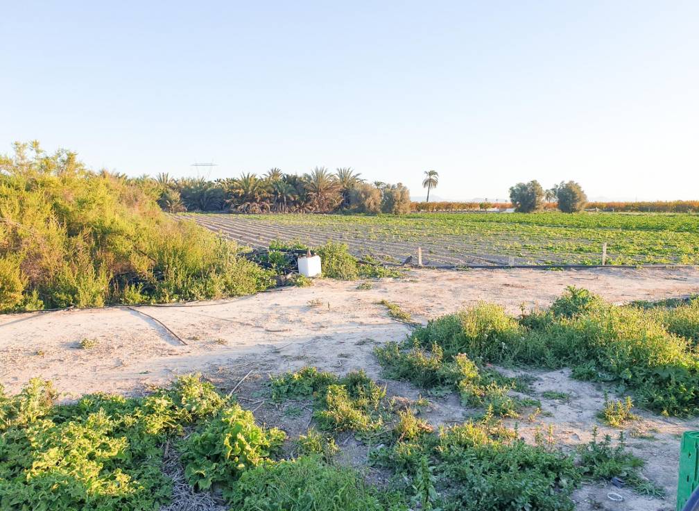 Resale - Plot - La hoya - La Hoya-Daimes-El Derramador