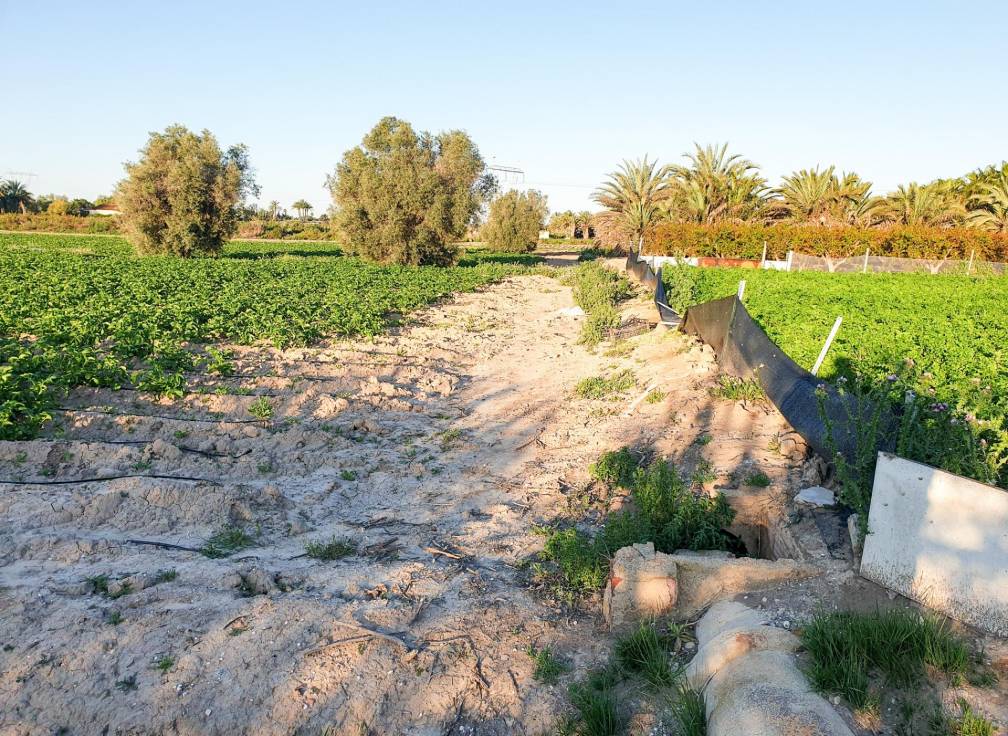 Resale - Plot - La hoya - La Hoya-Daimes-El Derramador